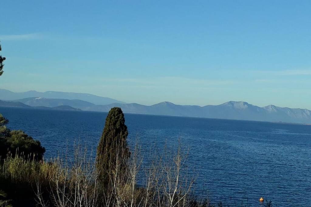 Amazing Sea View-Neos Pyrgos Beach -Evoia Greece Neos Pirgos Bagian luar foto