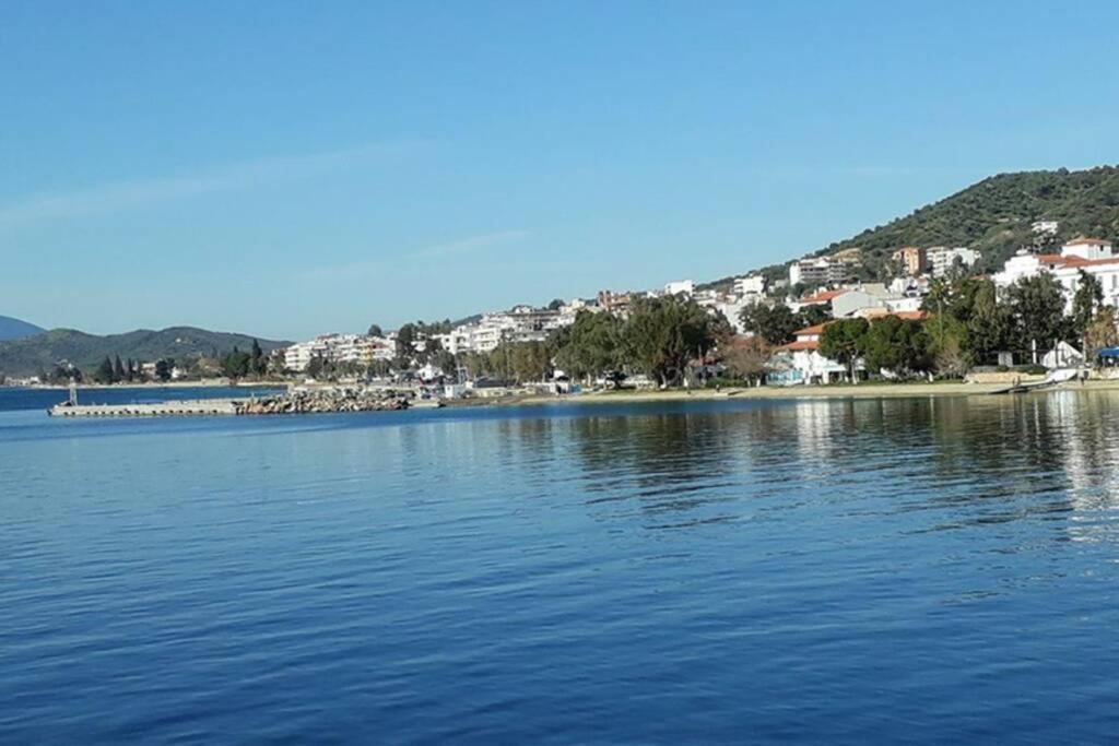 Amazing Sea View-Neos Pyrgos Beach -Evoia Greece Neos Pirgos Bagian luar foto