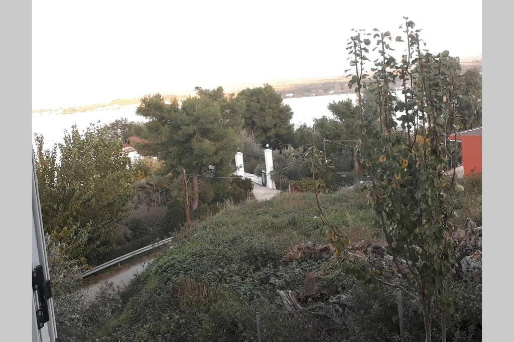 Amazing Sea View-Neos Pyrgos Beach -Evoia Greece Neos Pirgos Bagian luar foto