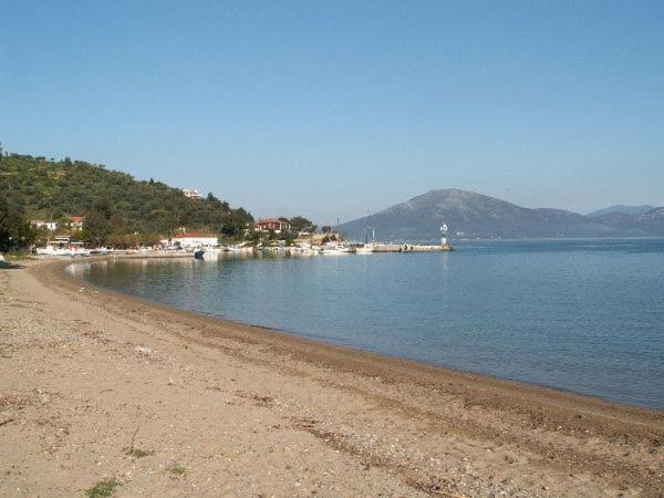 Amazing Sea View-Neos Pyrgos Beach -Evoia Greece Neos Pirgos Bagian luar foto